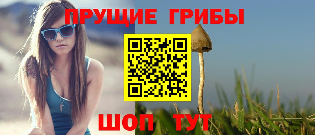 Галлюциногенные грибы прущие грибы Новоуральск