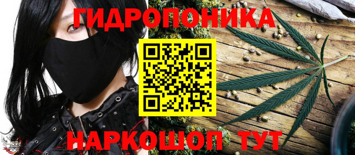 Шишки марихуана марихуана Новоуральск